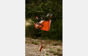 PARCOURS ORIENTATION LES EUVES 19 AVRIL 2026