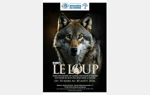 SAINTE VICTOIRE ET LE LOUP MARDI 5 MAI 2026