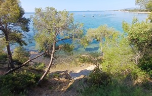 RANDO LA LONDE DIMANCHE 7 JUIN 2026