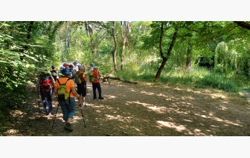 RANDO SANTE ETANG DE BOLMON JEUDI 30 AVRIL 2026