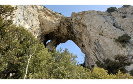 RANDO MERINDOL 15 MARS 2026